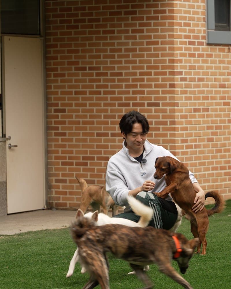 보호소에서 개들과 함께한 수의사